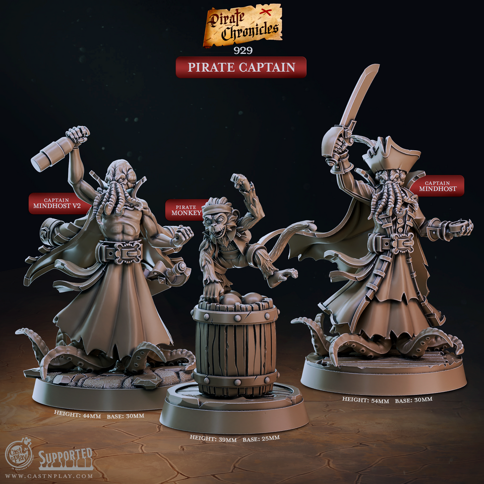 3D Printed Cast n Play Pirate Chronicles Collection 28mm 32mm D&D