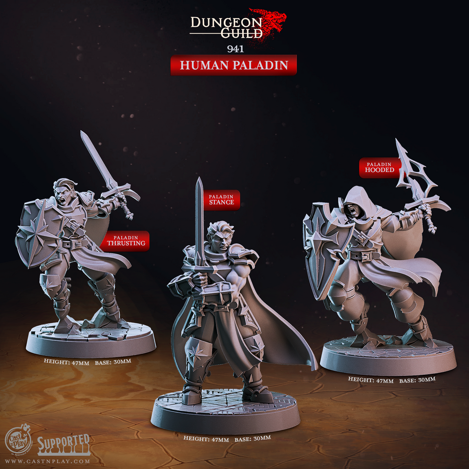 3D Printed Cast n Play Human Paladin Dungeon Guild Set 28mm 32mm D&D