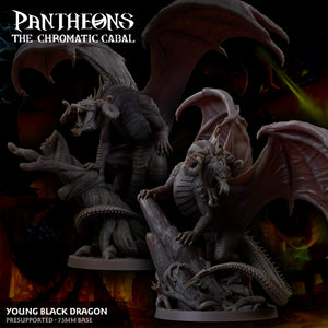 3D Printed Sordane Publishing Young Black Dragon Pantheons The Chromatic Cabal 28 32mm D&D