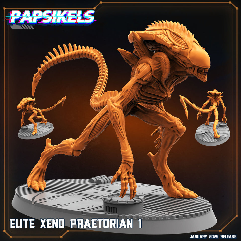 3D Printed Papsikels Elite Xeno Praetorians Set January 2025 - Scifi 28mm 32mm