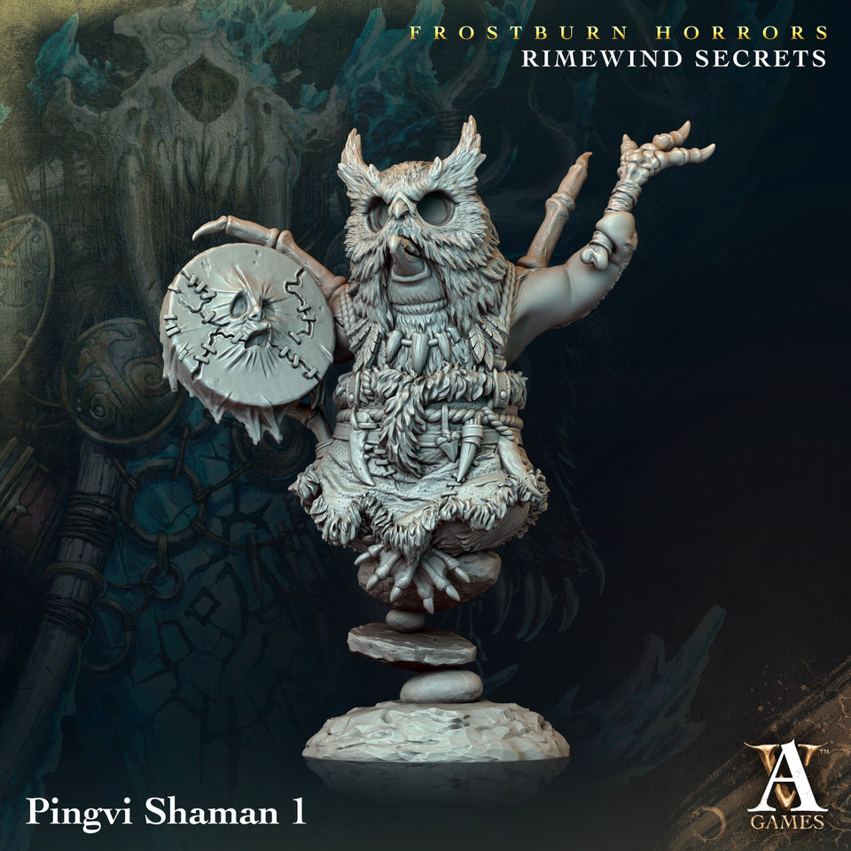 3D Printed Archvillain Games Frostburn Horrors Rimewind Secrets - Pingvi Shaman 28mm 32mm D&D