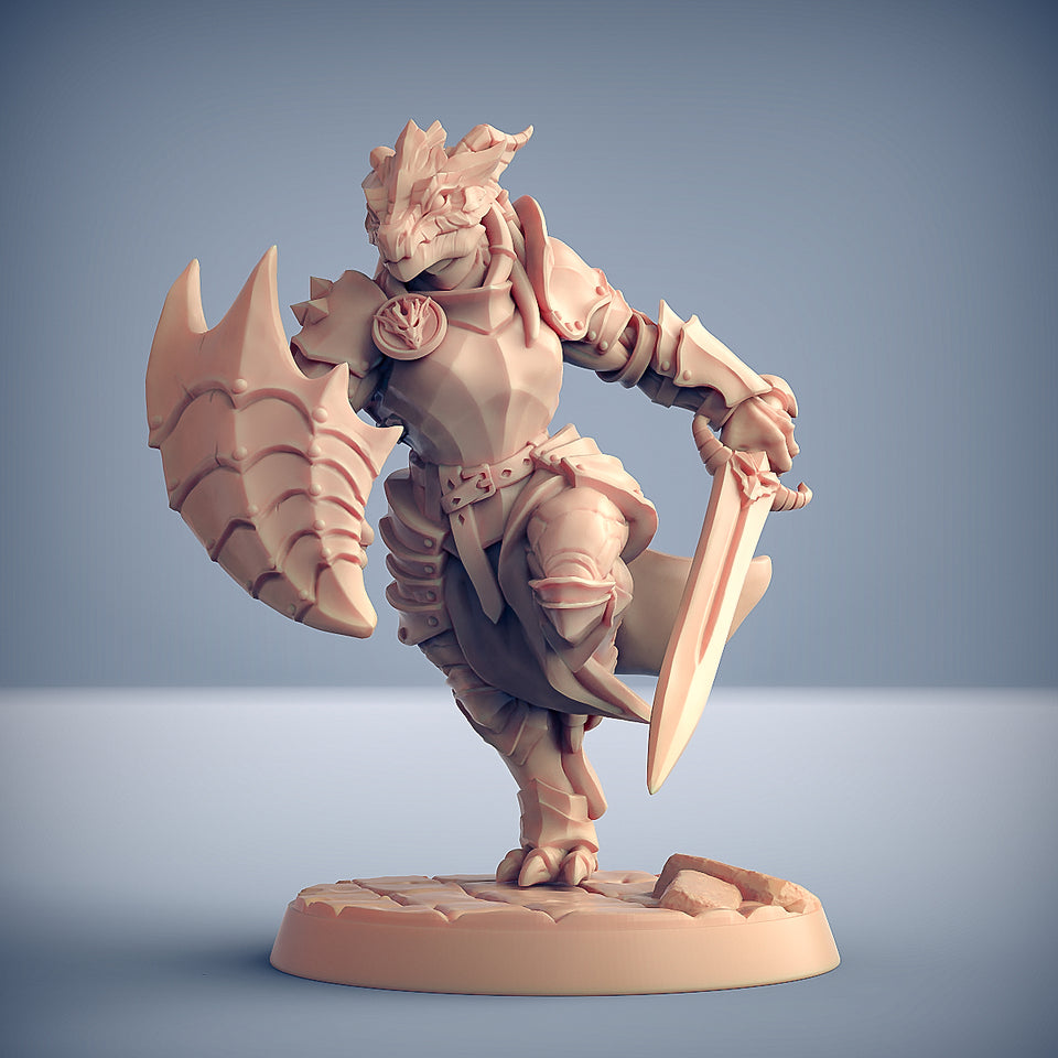 3D Printed Artisan Guild Modulars Dragonguard The Dragonguard 28mm 32mm