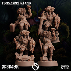 3D Printed Sordane Publishing Florasarri Paladin Cupid's Embrace Set 28 32mm D&D