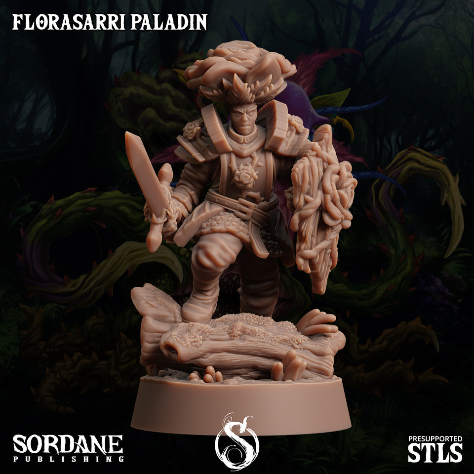 3D Printed Sordane Publishing Florasarri Paladin Cupid's Embrace Set 28 32mm D&D