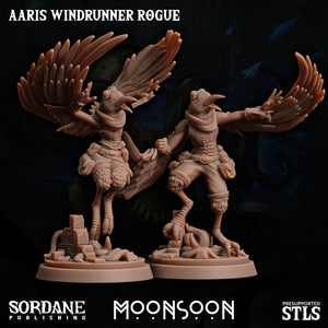 3D Printed Sordane Publishing Aaris Rogue Amakalee Moonsoon 28 32mm D&D