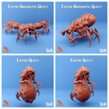 3D Printed Sordane Publishing Exonids Queen Set 28 32mm D&D