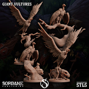 3D Printed Sordane Publishing Giant Vultures Set Burrows Below 28 32mm D&D