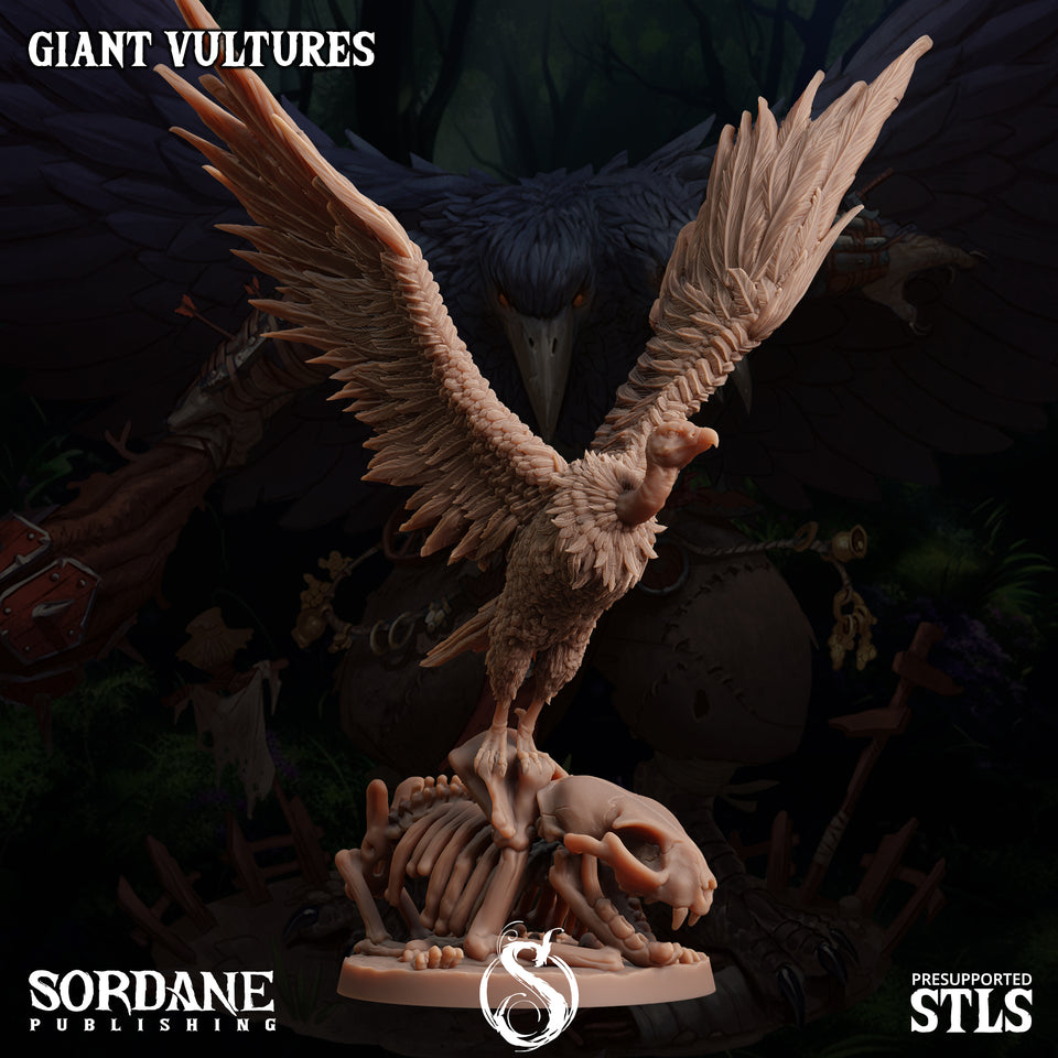 3D Printed Sordane Publishing Giant Vultures Set Burrows Below 28 32mm D&D