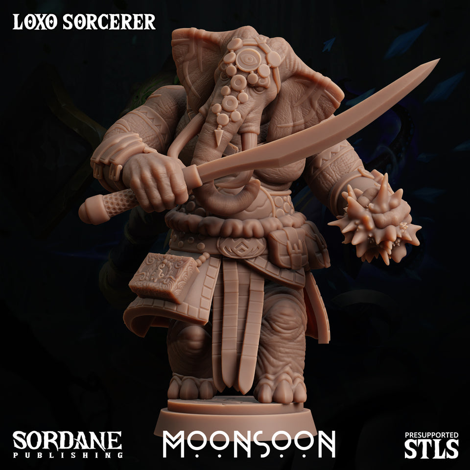 3D Printed Sordane Publishing Loxo Sorcerer Moonsoon 28 32mm D&D