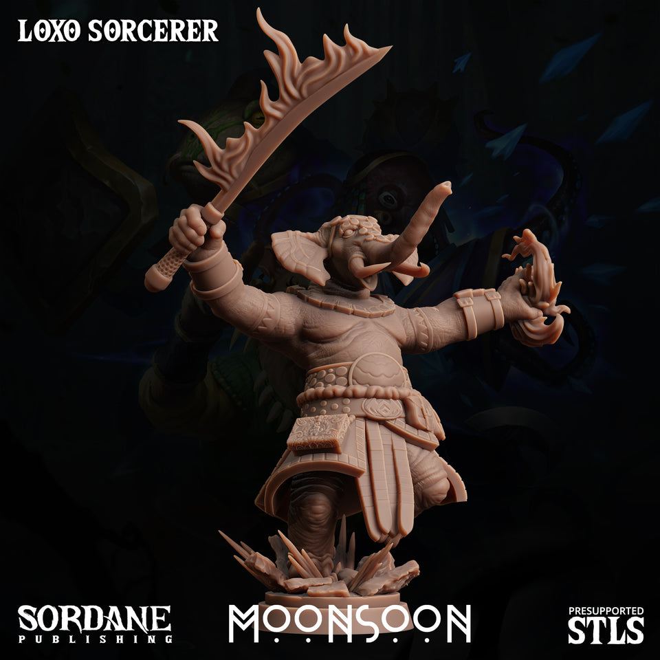 3D Printed Sordane Publishing Loxo Sorcerer Moonsoon 28 32mm D&D