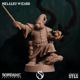 3D Printed Sordane Publishing Melaleu Wizard 28 32mm D&D