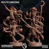 3D Printed Sordane Publishing Musjwi Sorcerer Burrows Below 28 32mm D&D