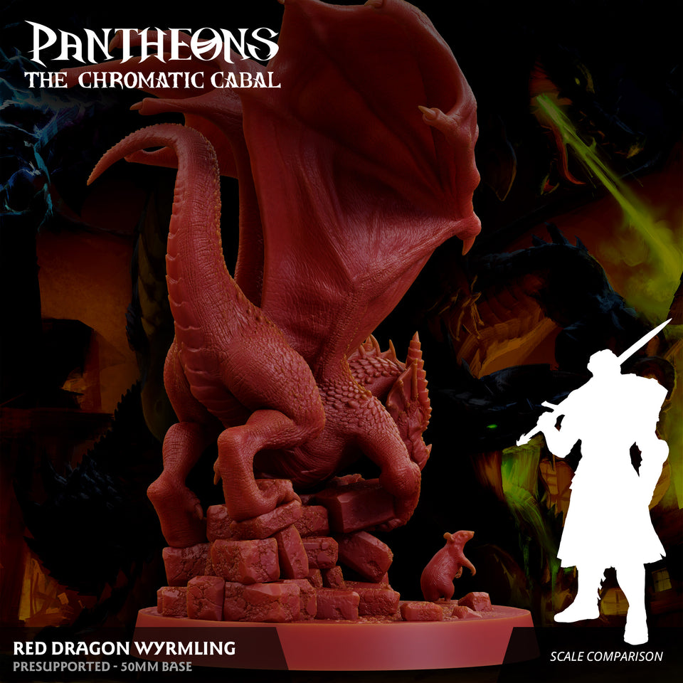 3D Printed Sordane Publishing Wyrmling Red Dragon Pantheons - The Chromatic Cabal 28 32mm D&D