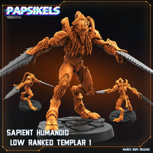 3D Printed Papsikels Sapient Humanoid Low Ranked Templars MARCH 2025 CYBERPUNK 28mm 32mm