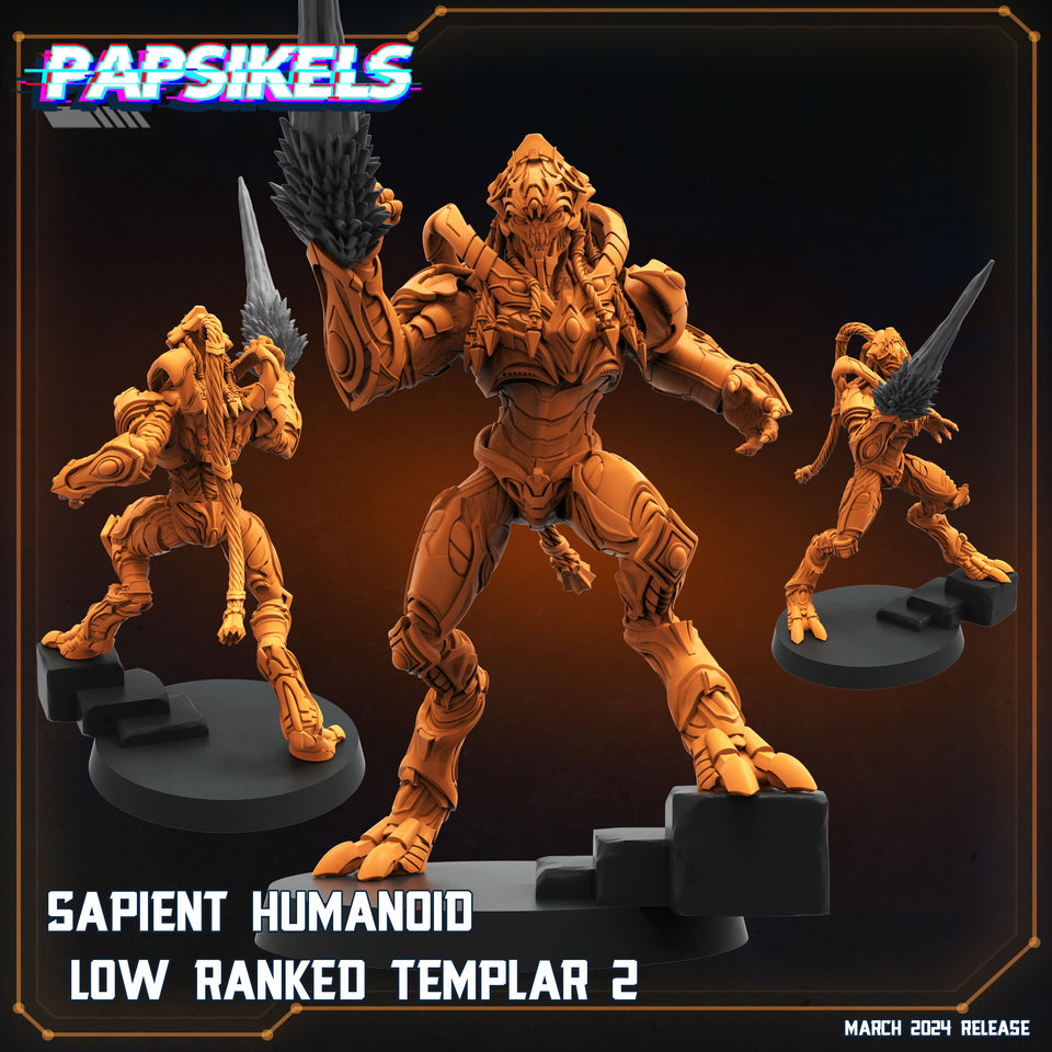 3D Printed Papsikels Sapient Humanoid Low Ranked Templars MARCH 2025 CYBERPUNK 28mm 32mm
