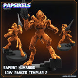 3D Printed Papsikels Sapient Humanoid Low Ranked Templars MARCH 2025 CYBERPUNK 28mm 32mm