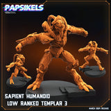 3D Printed Papsikels Sapient Humanoid Low Ranked Templars MARCH 2025 CYBERPUNK 28mm 32mm