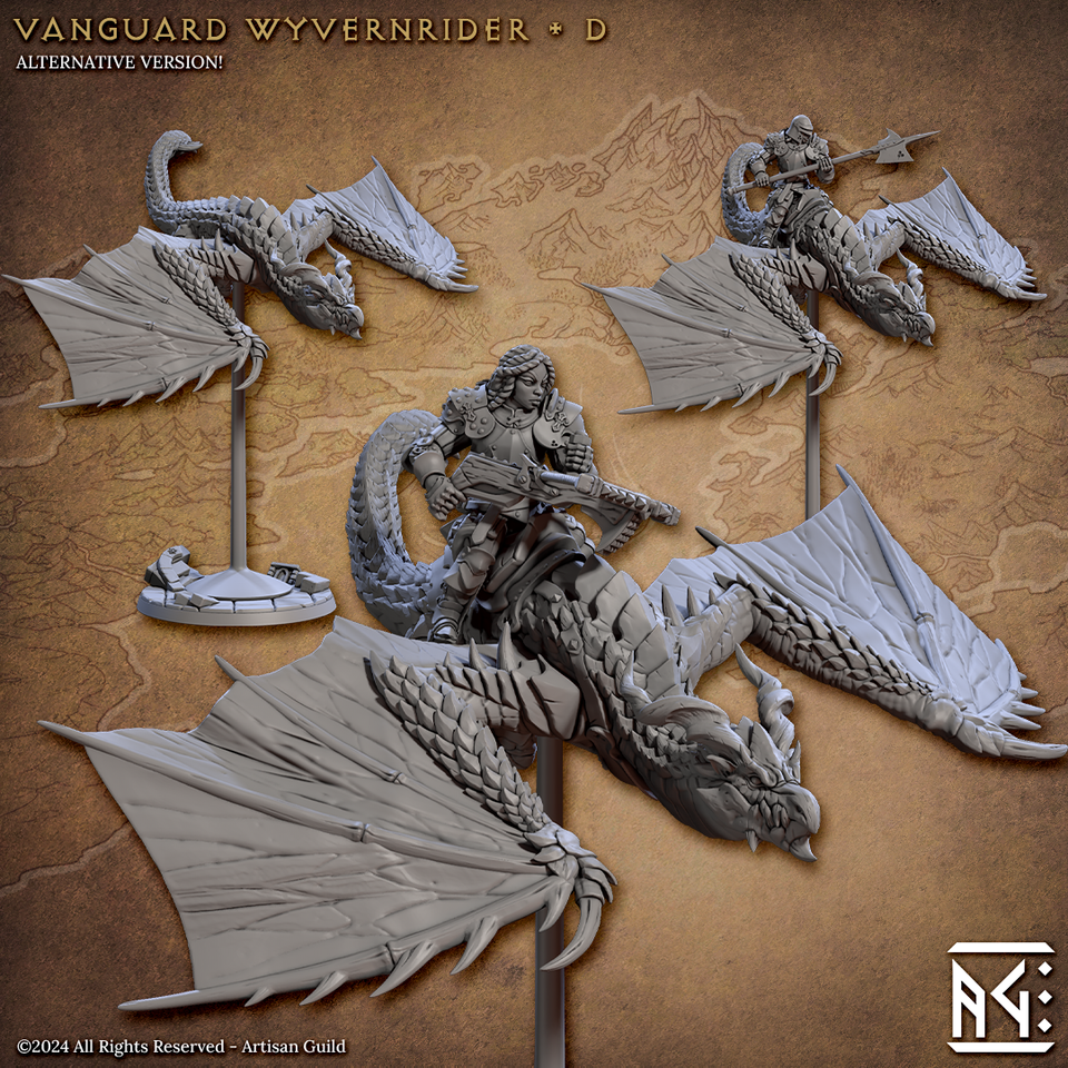 3D Printed Artisan Guild Vanguard Wyvernriders Vanguard Fighters Set 28mm 32mm