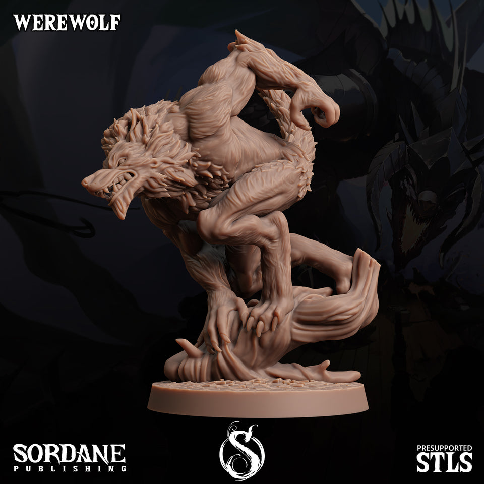 3D Printed Sordane Publishing Werewolves 28 32mm D&D