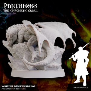 3D Printed Sordane Publishing Wyrmling White Dragon Pantheons - The Chromatic Cabal 28 32mm D&D