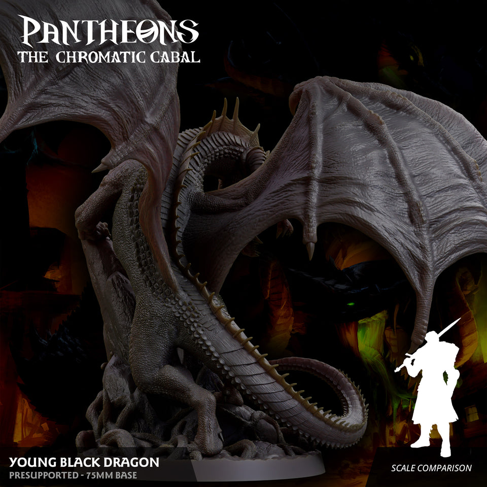 3D Printed Sordane Publishing Young Black Dragon Pantheons The Chromatic Cabal 28 32mm D&D