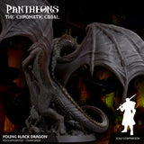 3D Printed Sordane Publishing Young Black Dragon Pantheons The Chromatic Cabal 28 32mm D&D