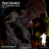 3D Printed Sordane Publishing Young Black Dragon Pantheons The Chromatic Cabal 28 32mm D&D