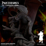 3D Printed Sordane Publishing Young Black Dragon Pantheons The Chromatic Cabal 28 32mm D&D