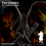 3D Printed Sordane Publishing Young Black Dragon Pantheons The Chromatic Cabal 28 32mm D&D