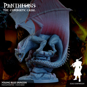 3D Printed Sordane Publishing Young Blue Dragon Pantheons The Chromatic Cabal 28 32mm D&D