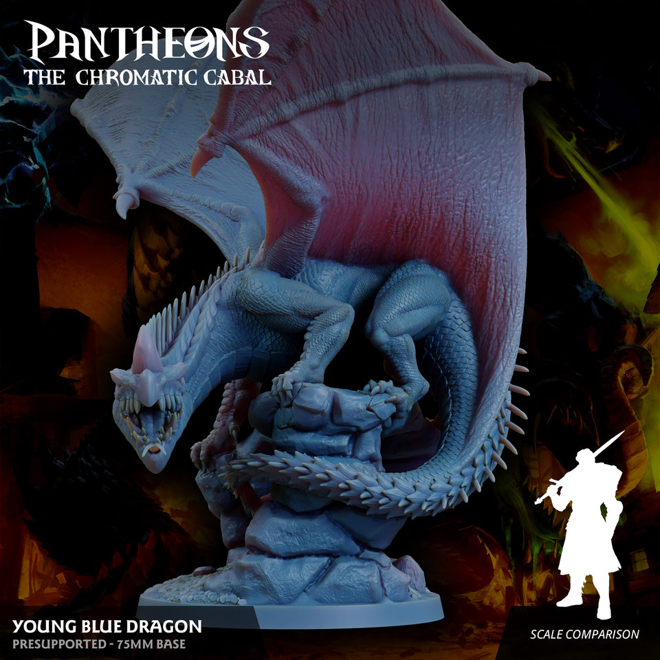 3D Printed Sordane Publishing Young Blue Dragon Pantheons The Chromatic Cabal 28 32mm D&D