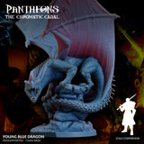 3D Printed Sordane Publishing Young Blue Dragon Pantheons The Chromatic Cabal 28 32mm D&D