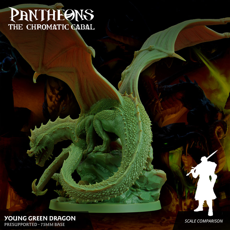 3D Printed Sordane Publishing Young Green Dragon Pantheons The Chromatic Cabal 28 32mm D&D