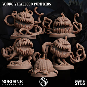 3D Printed Sordane Publishing Young Vitalesco Pumpkins 28 32mm D&D