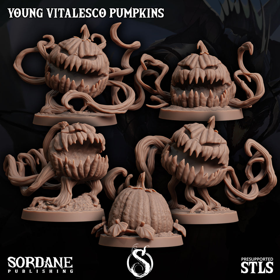 3D Printed Sordane Publishing Young Vitalesco Pumpkins 28 32mm D&D