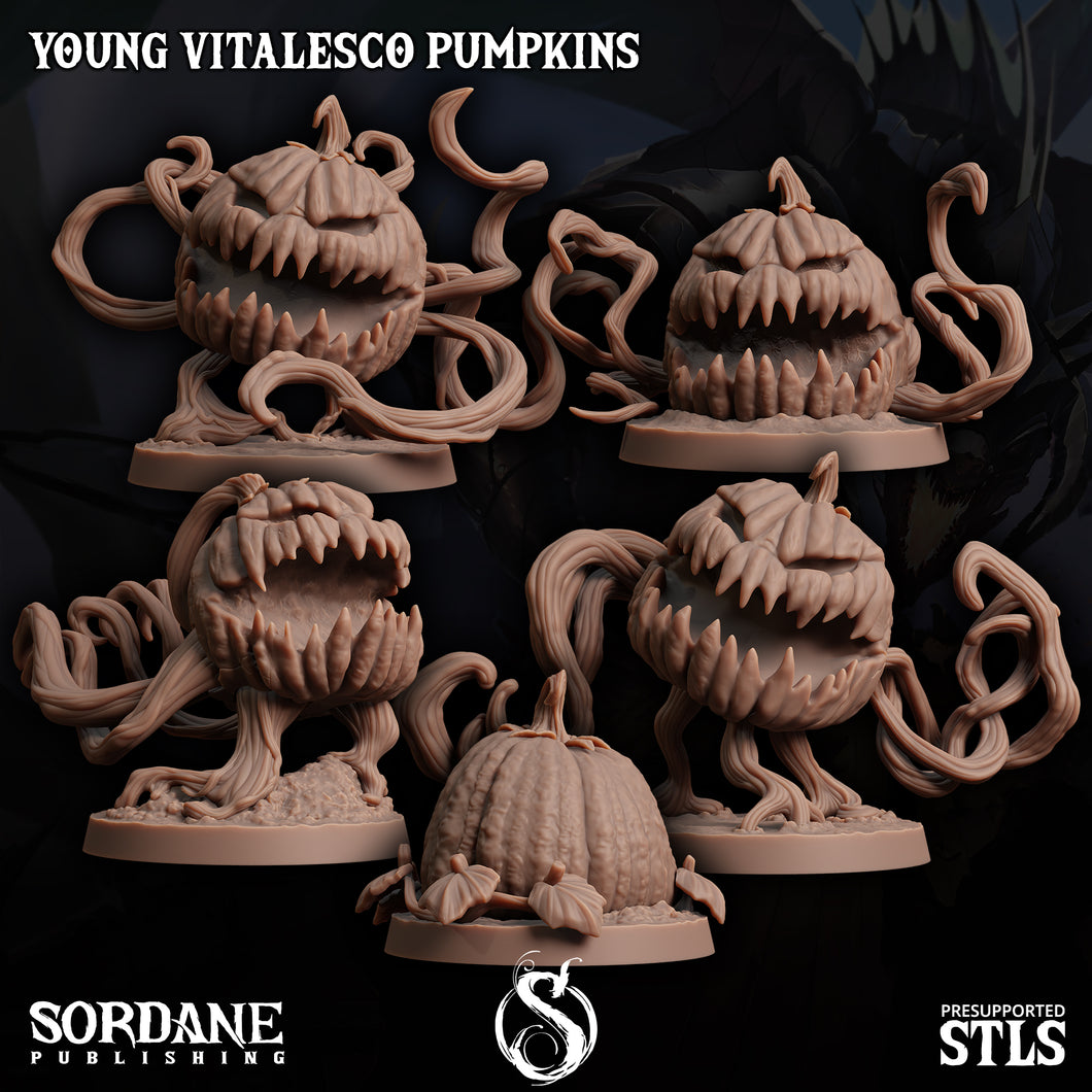 3D Printed Sordane Publishing Young Vitalesco Pumpkins 28 32mm D&D
