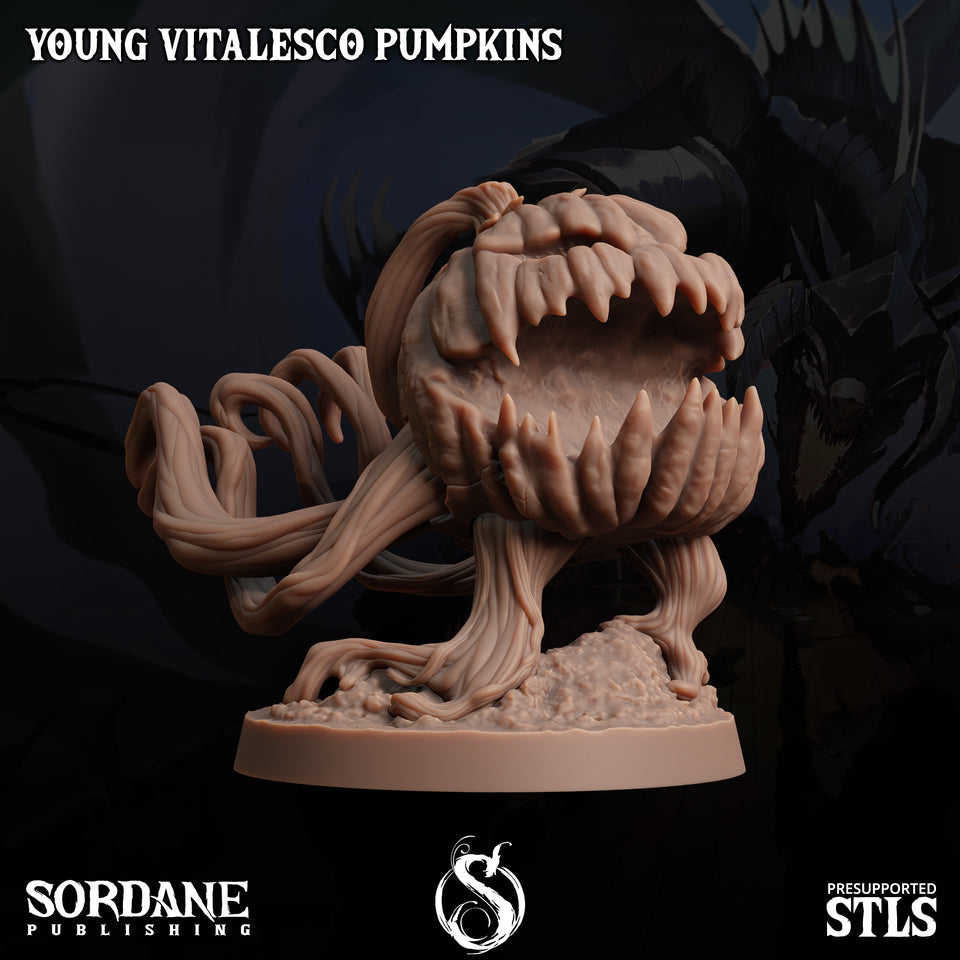 3D Printed Sordane Publishing Young Vitalesco Pumpkins 28 32mm D&D