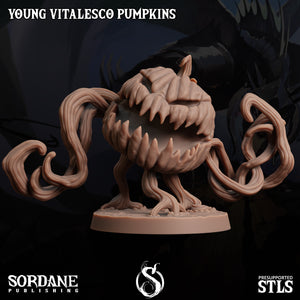 3D Printed Sordane Publishing Young Vitalesco Pumpkins 28 32mm D&D