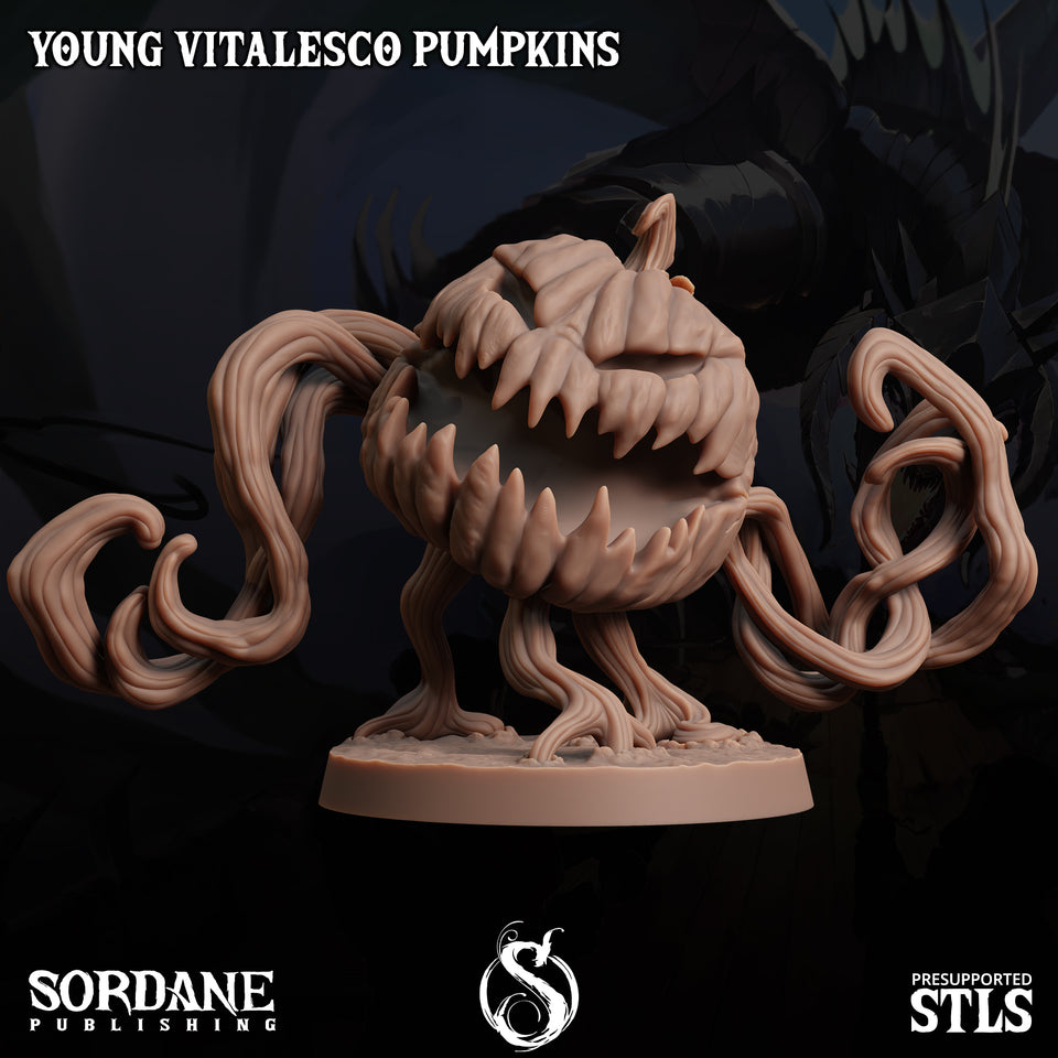 3D Printed Sordane Publishing Young Vitalesco Pumpkins 28 32mm D&D