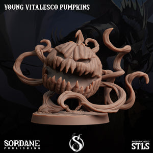 3D Printed Sordane Publishing Young Vitalesco Pumpkins 28 32mm D&D