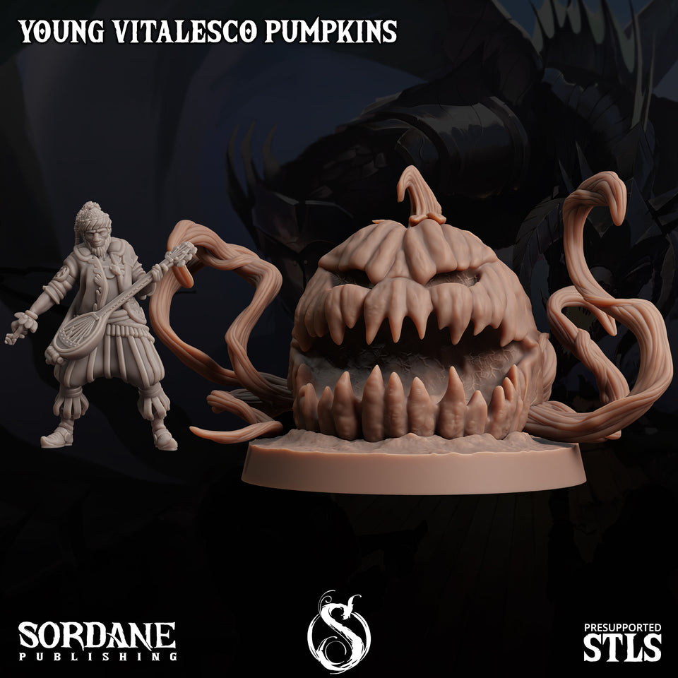 3D Printed Sordane Publishing Young Vitalesco Pumpkins 28 32mm D&D