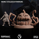3D Printed Sordane Publishing Young Vitalesco Pumpkins 28 32mm D&D