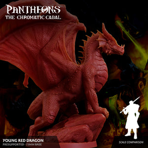 3D Printed Sordane Publishing Young Red Dragon Pantheons The Chromatic Cabal 28 32mm D&D