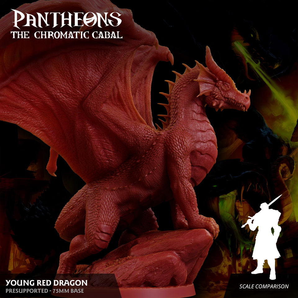 3D Printed Sordane Publishing Young Red Dragon Pantheons The Chromatic Cabal 28 32mm D&D