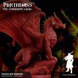 3D Printed Sordane Publishing Young Red Dragon Pantheons The Chromatic Cabal 28 32mm D&D