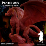 3D Printed Sordane Publishing Young Red Dragon Pantheons The Chromatic Cabal 28 32mm D&D