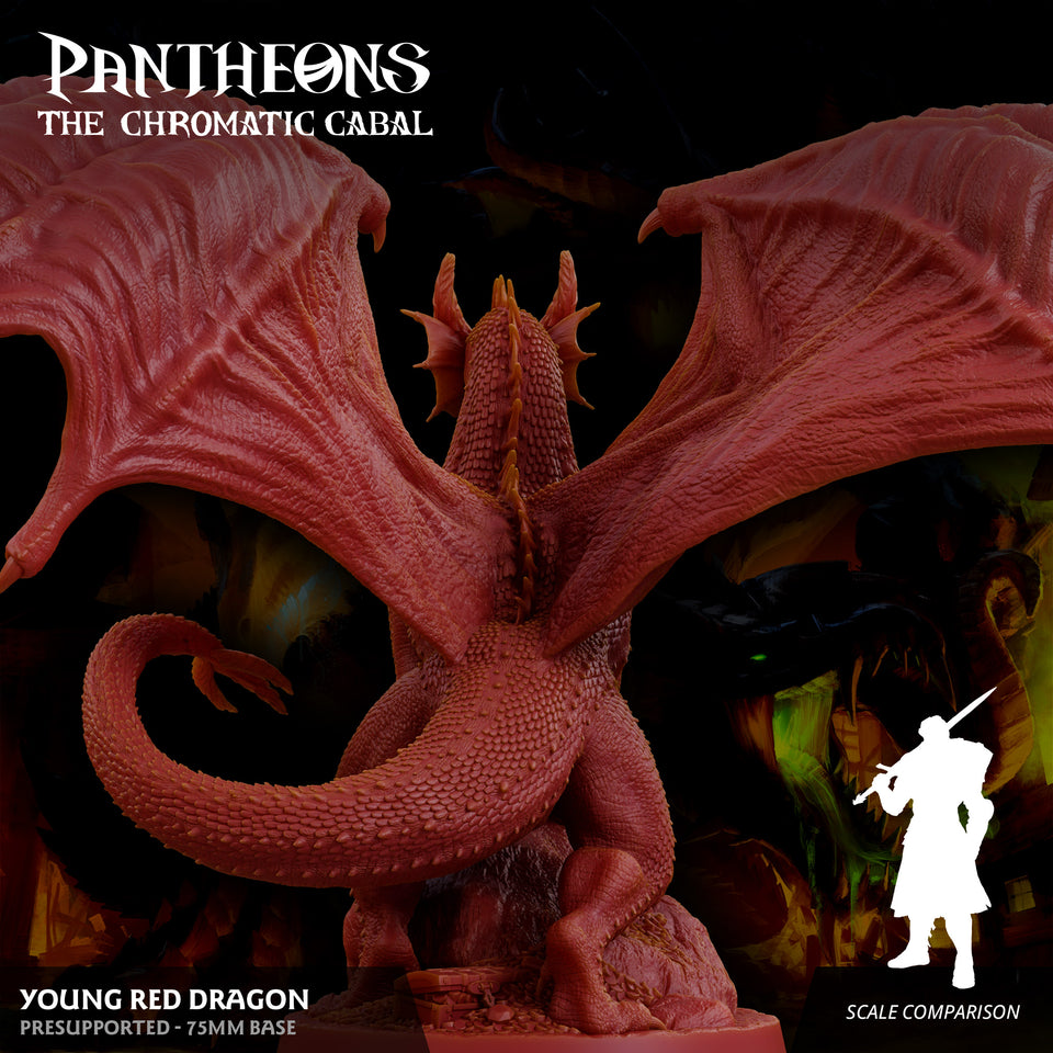 3D Printed Sordane Publishing Young Red Dragon Pantheons The Chromatic Cabal 28 32mm D&D