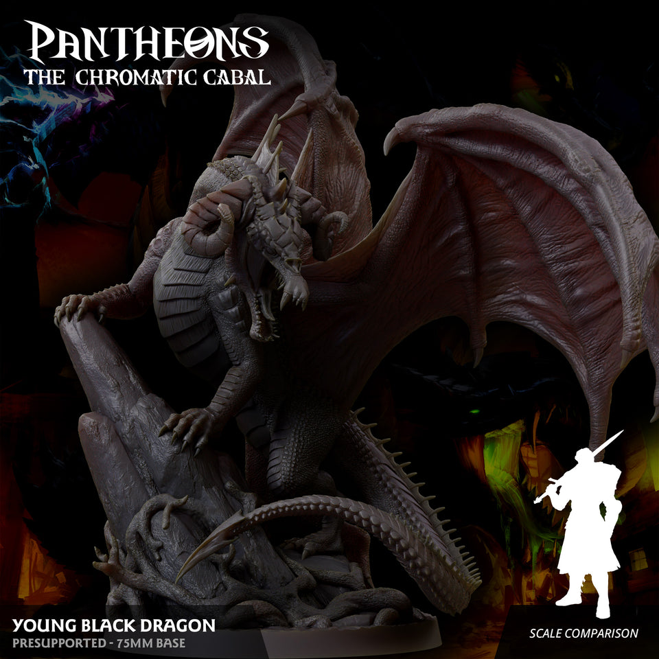 3D Printed Sordane Publishing Young Black Dragon Pantheons The Chromatic Cabal 28 32mm D&D