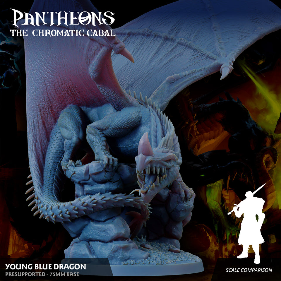 3D Printed Sordane Publishing Young Blue Dragon Pantheons The Chromatic Cabal 28 32mm D&D