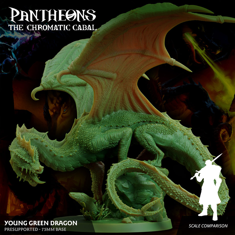 3D Printed Sordane Publishing Young Green Dragon Pantheons The Chromatic Cabal 28 32mm D&D